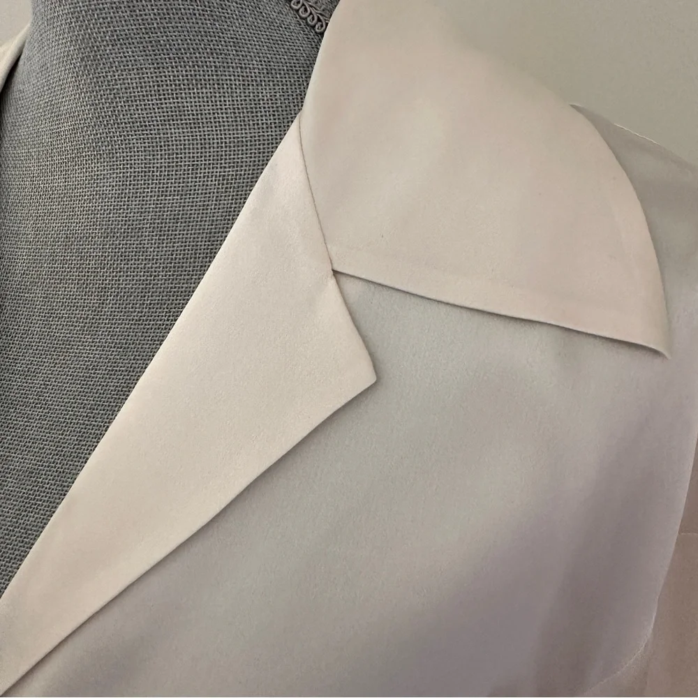 New With Tags 100% Silk Blouse/Shirt sz L - Champagne - Picture 4 of 15